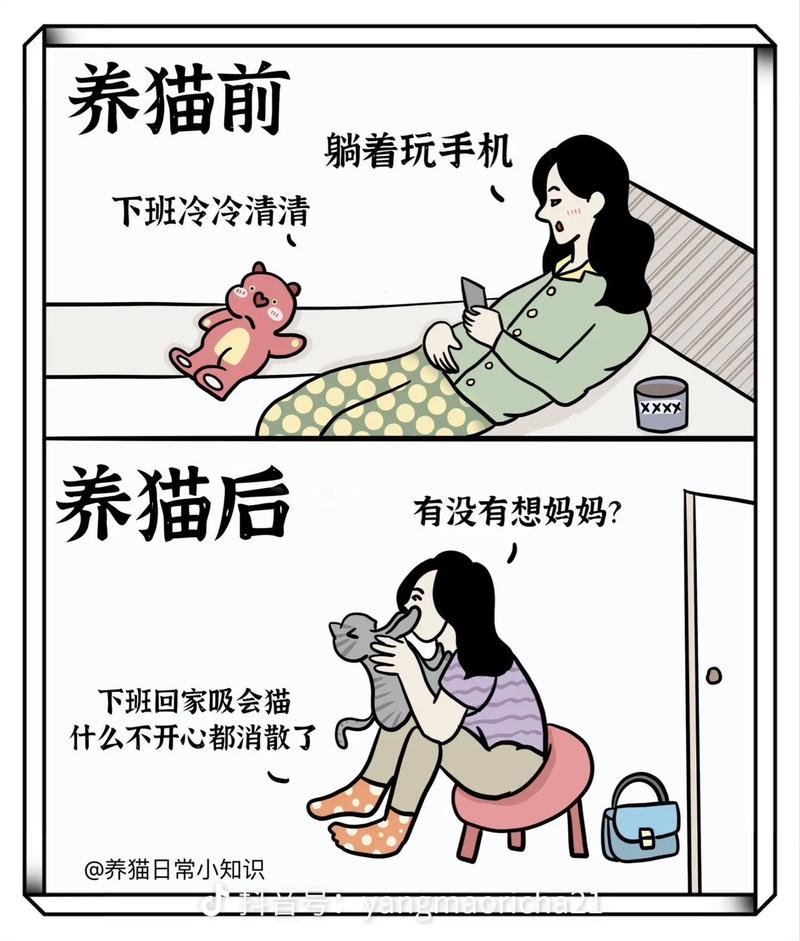 养猫人不愿意出去,养猫人不在家的时候怎么办