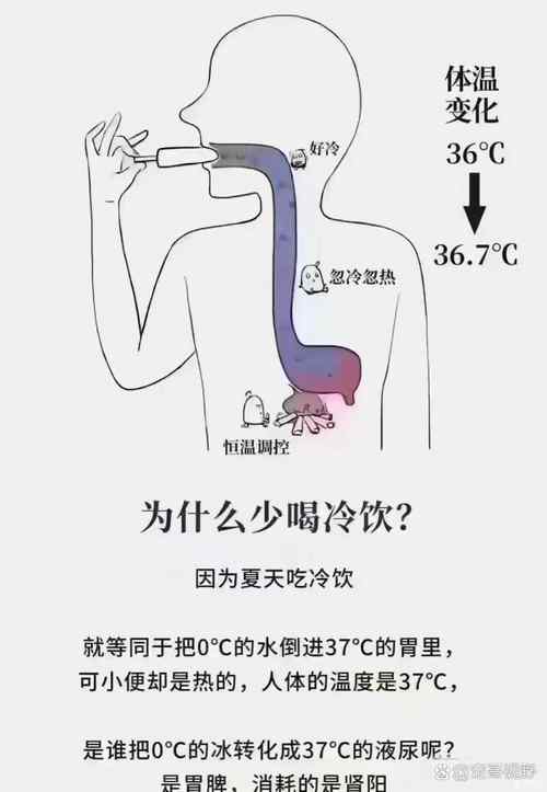 冷冷热热的接近正确答案的简单介绍