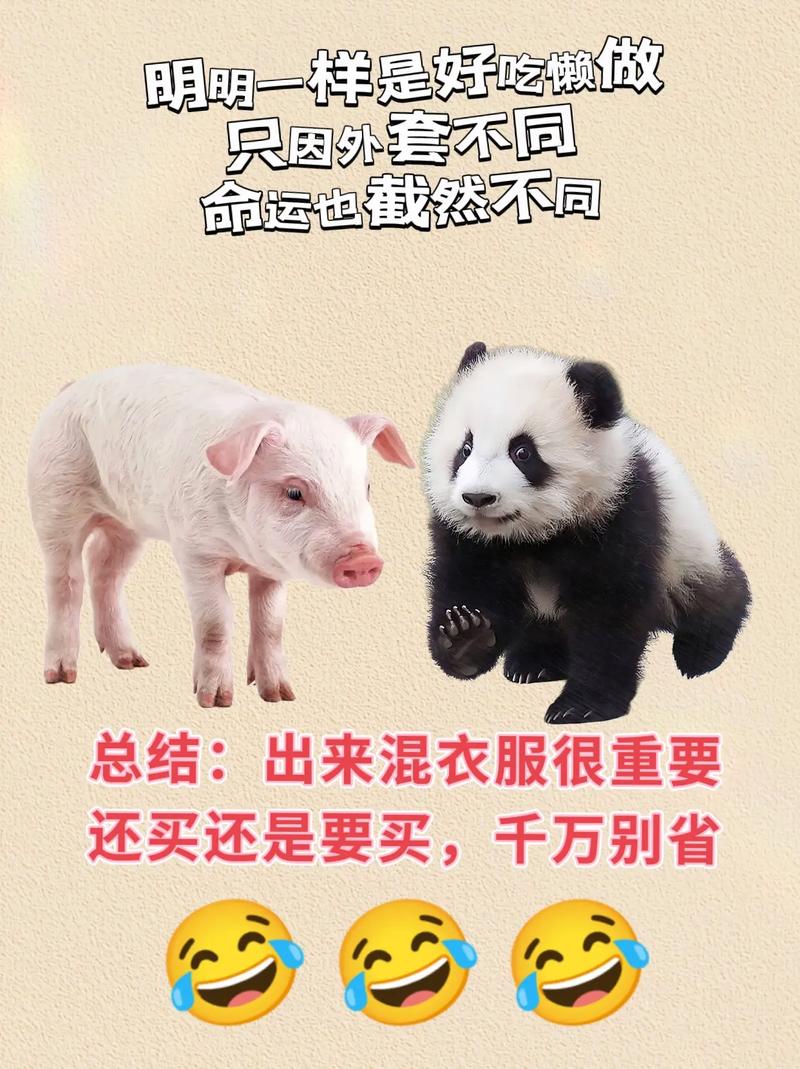 人靠衣装马靠鞍图片,人靠衣装马靠鞍是什么歌