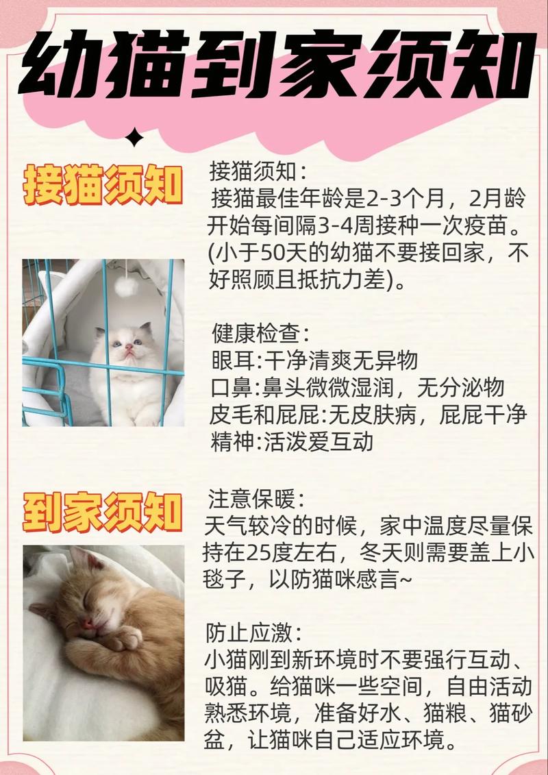 养猫人不回信息,养猫人不回信息怎么办