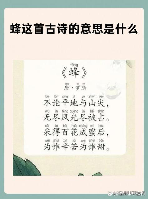 包含招蜂引蝶打一生肖精准解释落实的词条