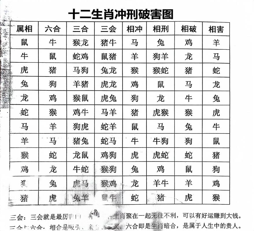 龙年冲什么生肖相克,龙年冲什么生肖相克呢