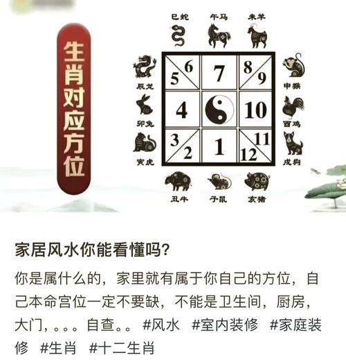 “左右开弓”打一正确的生肖
