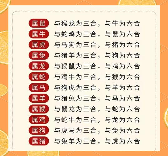 “千秋万代”指什么生肖