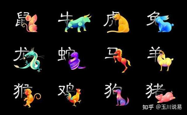 钟表打一生肖,钟表打一生肖猪