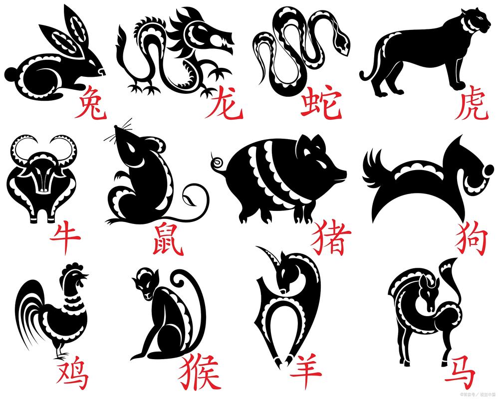 打字打一生肖动物,打字打一生肖是什么动物