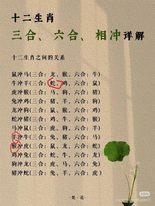 “松竹二时二四飞”打一正确的生肖