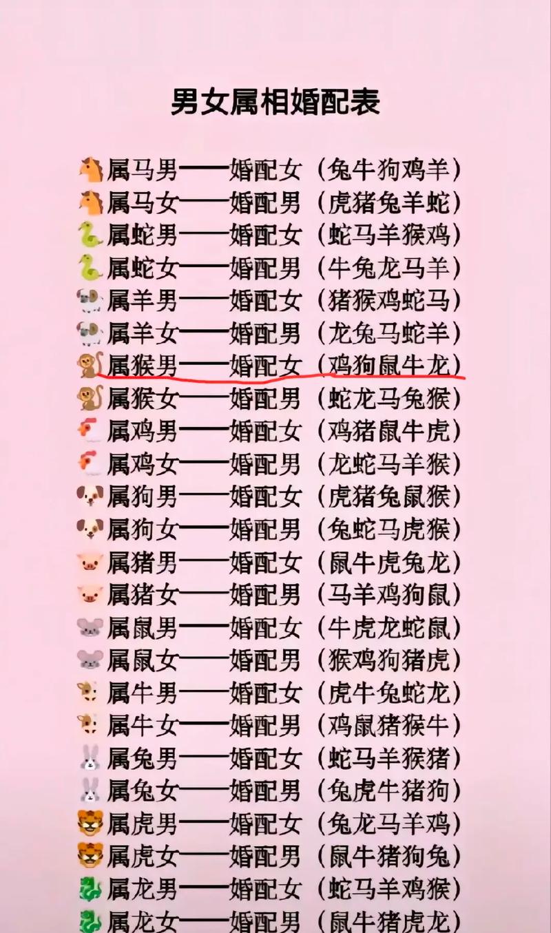 “鞍前马后”代表什么生肖