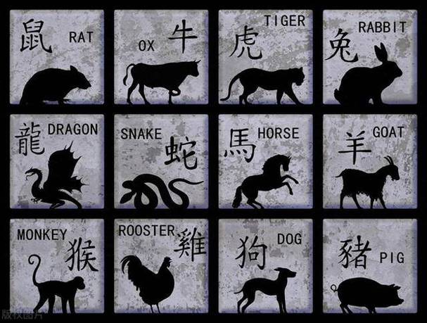 今期生肖有看头打一个数字,今期生肖有看头买上买下不是牛是什么生肖