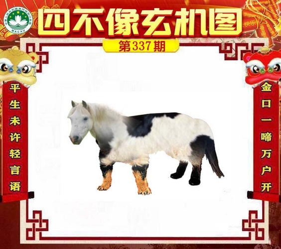 玄机打一动物,三前四后出玄机打一动物