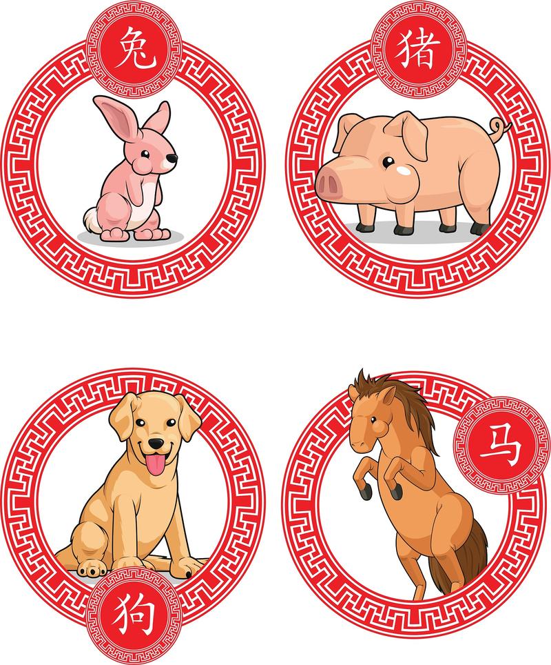 “今期鼠牛兔出特,四六能不闲来拾”打一准确动物生肖