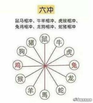 “单队人马能打赢,二前二后二相伴”是什么生肖