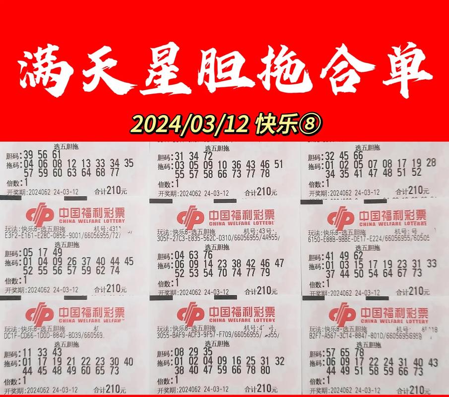 二三今期选一码猜数,二三今期选一码是什么意思