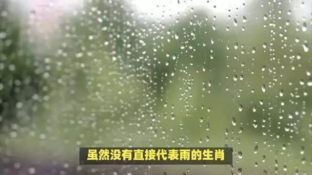 “下雨”打一准确动物生肖