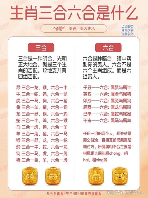 一九相合今期最佳答案,一九作合中本期是什么生肖