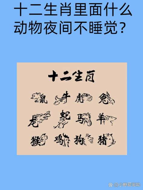 “黄连泡瓜子”打一动物生肖的简单介绍