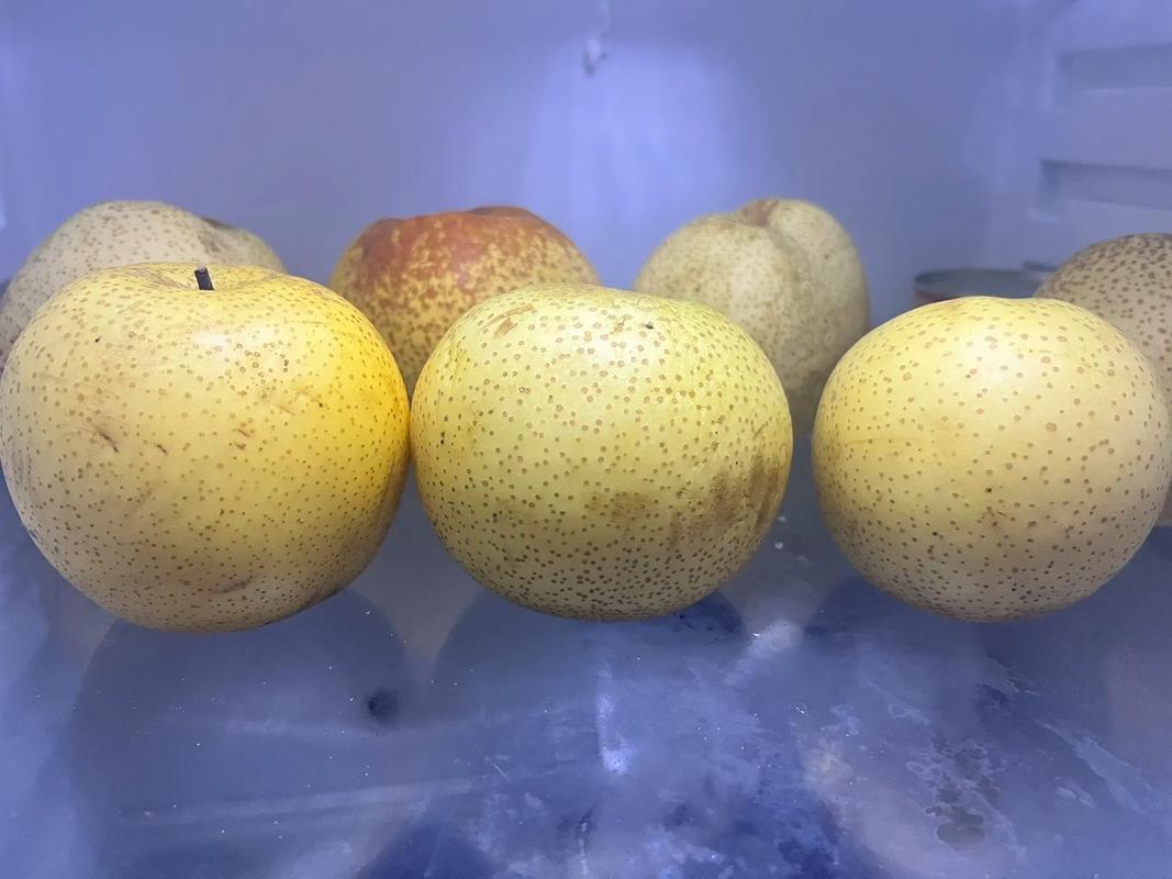 梨能放冰箱冷藏吗,梨可不可以放冰箱冷藏