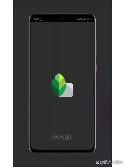 snapseed在哪里下华为,华为手机安装snapseed中文版