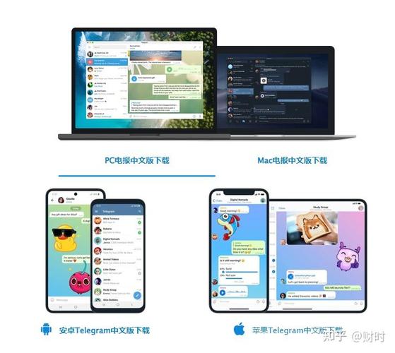tg黑盒官网,telegraph官网版下载