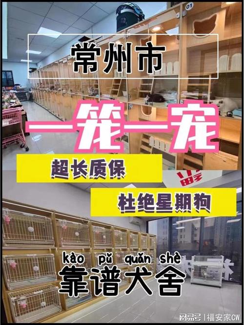 上门回收宠物猫,上门回收宠物猫广州