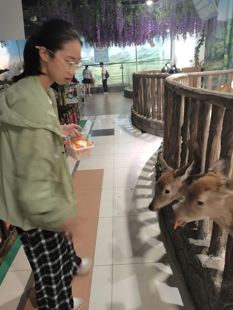 一三独立在门外打一动物,一三独立在门外是什么意思
