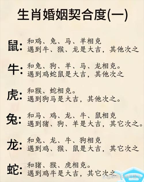 来是什么生肖最佳答案,西天在取经回来是什么生肖最佳答案