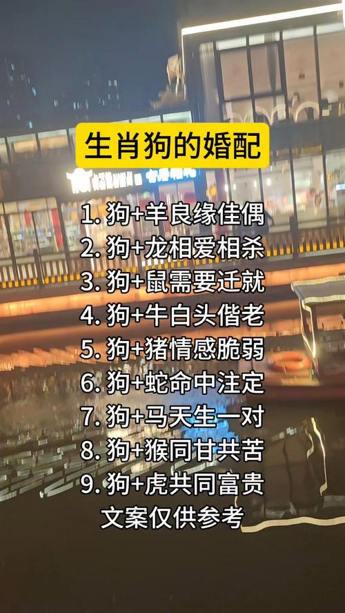 狗的十大最佳婚配,狗的十大最佳婚配属相