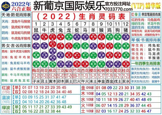 今年生肖表码表,今年生肖表码表2025