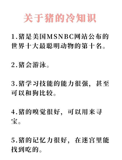 包含打一动物谜语答案是猪的词条