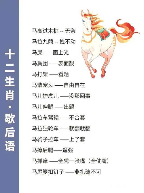 母鸡下一蛋打一生肖动物,母鸡下蛋歇后语是什么生肖