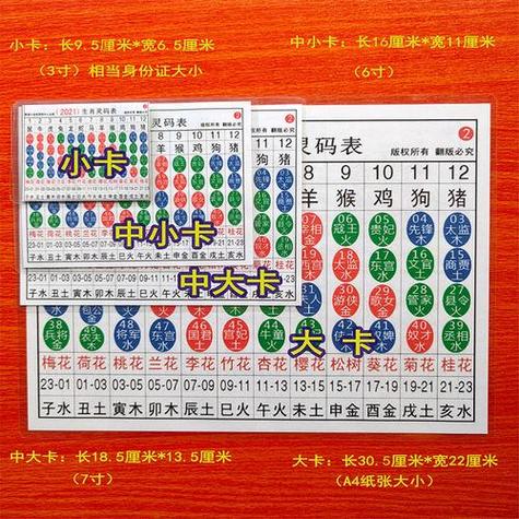 2025十二生肖49码对照图,2025十二生肖49码表小卡片