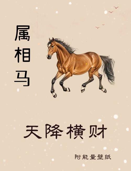 生肖马今天偏财运如何,生肖马今天的财运怎么样